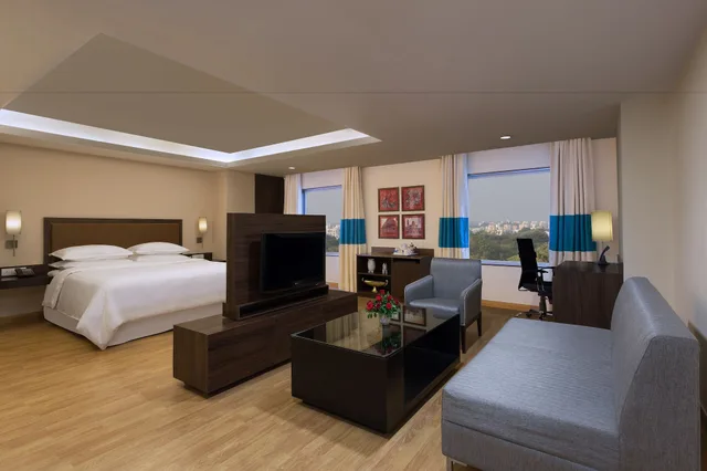 جناح بسرير كينج بإطلالة على المدينة، FOUR POINTS BY SHERATON VADODARA 7/8