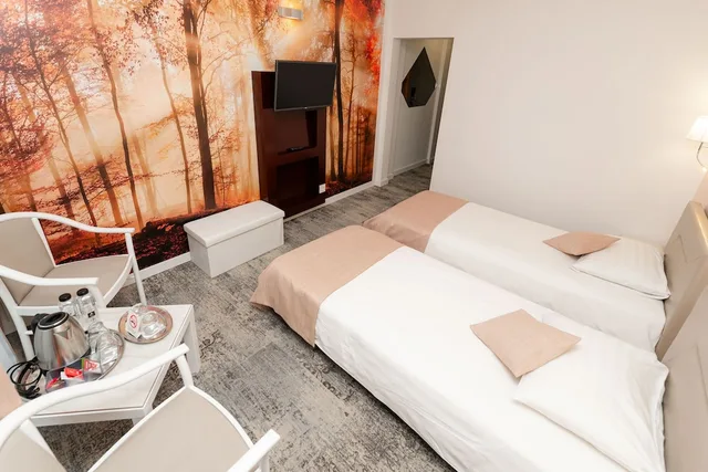 غرفة قياسية بسريرين منفصلين، Continental Hotel 6/8