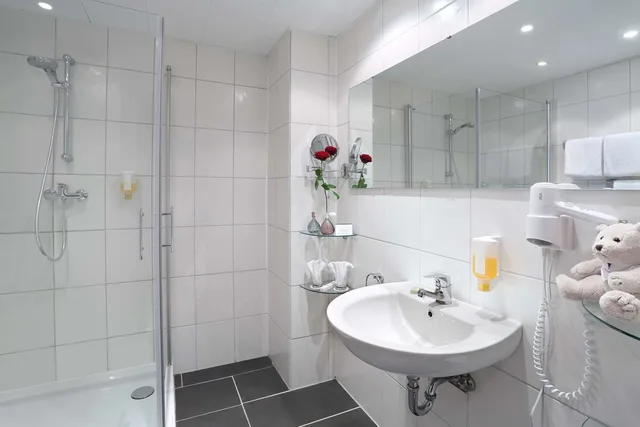 غرفة قياسية مفردة، Best Western Hotel Rosenau 5/6