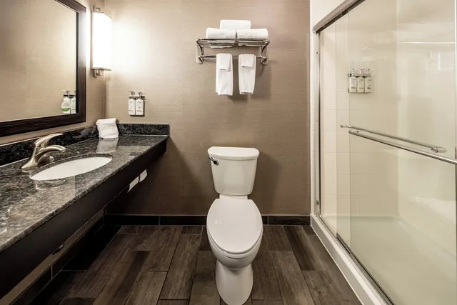 غرفة قياسية بسرير كينج بإطلالة على المدينة، Holiday Inn Owensboro Riverfront 4/5