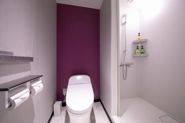 غرفة بريميوم بسرير مزدوج، Miyakonojo Green Hotel 4/4