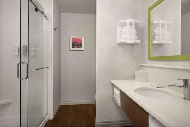 استوديو بسرير كينج مع أريكة لذوي الإعاقة، Hampton Inn & Suites Orangeburg 3/5