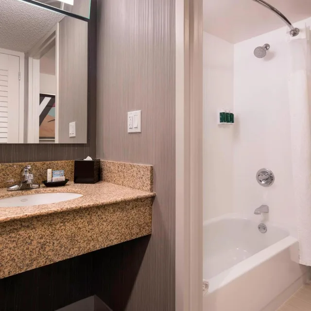 غرفة بسرير كينج بحوض استحمام لذوي الإعاقة، Courtyard By Marriott Denver Airport 4/10