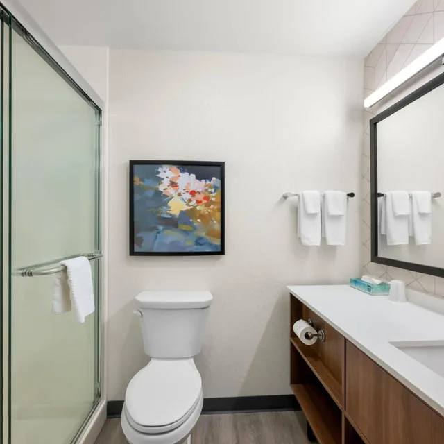جناح ديلوكس بسرير كينج مع أريكة، Everhome Suites Portsmouth - Newington 5/8