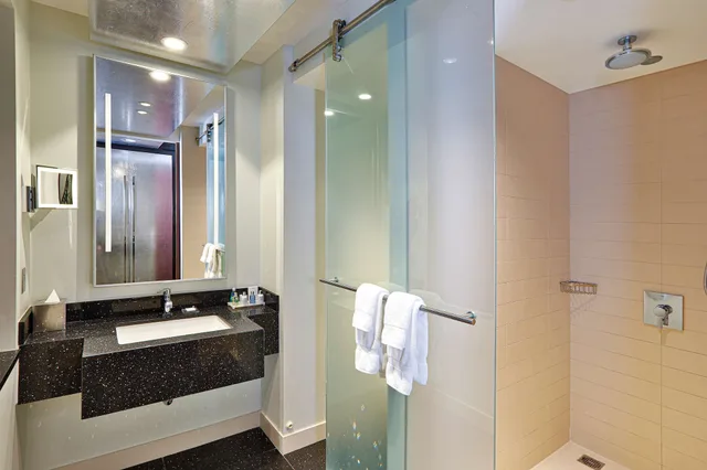 غرفة بريميوم بسريرين كوين بإطلالة على المتنزه، Radisson Blu Aqua Hotel, Chicago 6/7