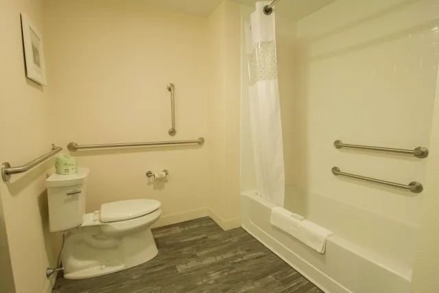 Studio, 2 Queen Beds, Sofa, Accessible, Hampton Inn Suites Cazenovia Ny 2/2