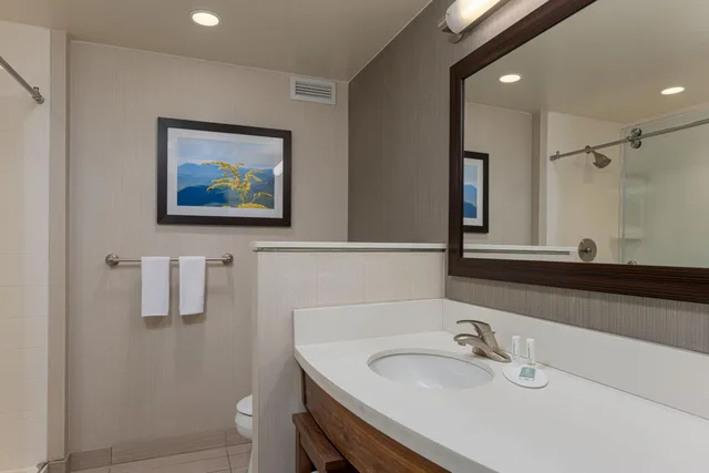 غرفة بسرير كينج بإطلالة على الجبل، Courtyard by Marriott Asheville Airport 4/7