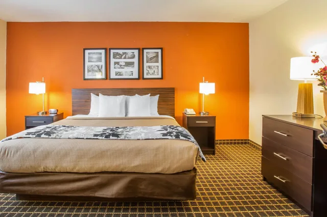 Suite, King Bed, Sofa, Sleep Inn & Suites Valdosta Mall Area 3/6