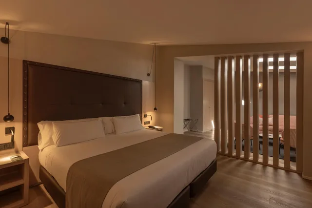 غرفة بريميوم بسرير مزدوج، Gran Hotel Barcino 1/7