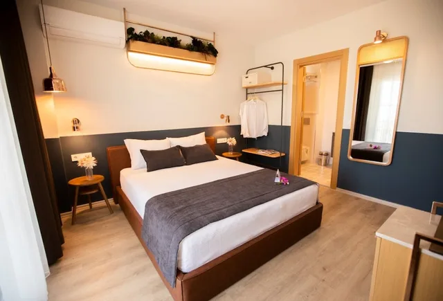 غرفة ديلوكس بسرير مزدوج، Urla 1867 Hotel 2/3