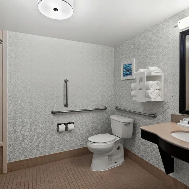 غرفة بسرير كينج مع أريكة بحوض استحمام لذوي الإعاقة، Hampton Inn & Suites Fort Belvoir Alexandria South 3/4