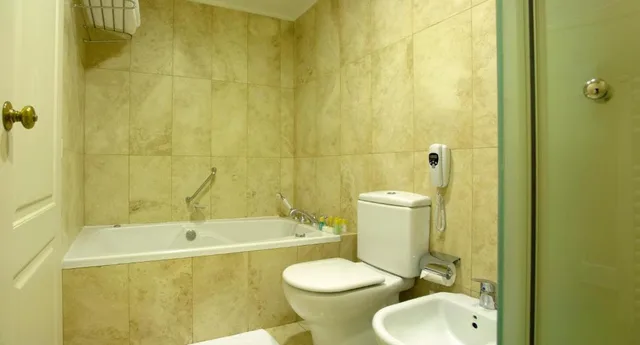 Executive, Double Bed, Attic، Austral Plaza Hotel 3/3