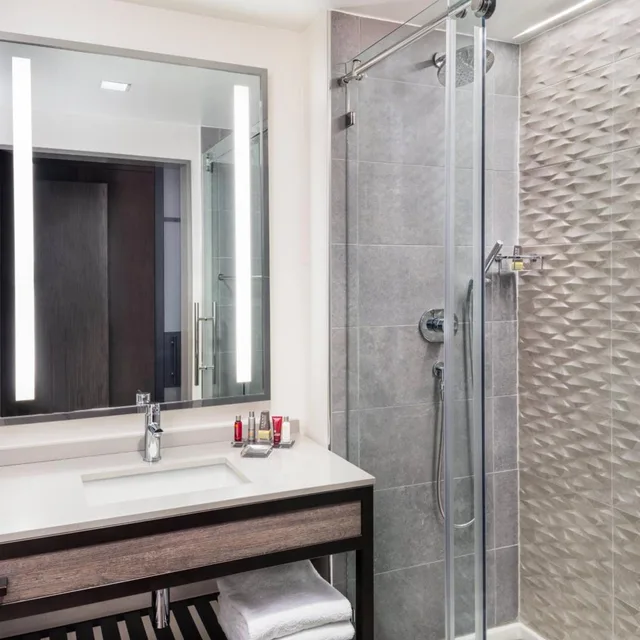 Deluxe, King Bed, City View, Lancaster Marriott at Penn Square 8/10