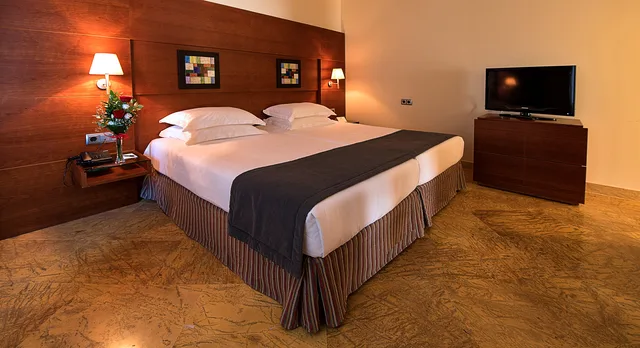Standard, Double or Twin Bed, Protur Roquetas Hotel & Spa 2/2