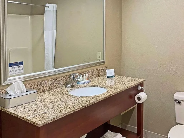Upgrade, 2 Double Beds, Quality Inn & Suites Georgetown - Seaford 4/4