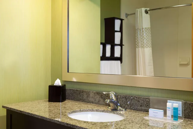 غرفة بسرير مزدوج، Hampton Inn Elkton Md 2/2