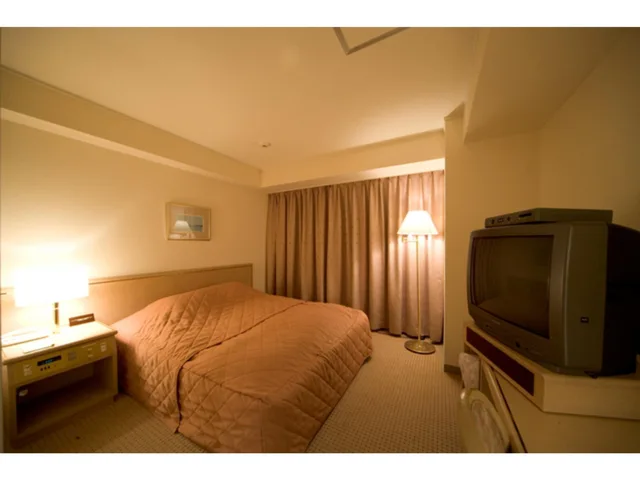 Efficiency, Double Bed, Smoking، Kitami Pierson Hotel 1/1