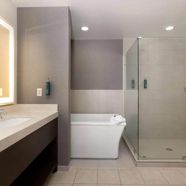 شقة سكنية بسريرين كينج بغرفتي نوم، Hilton Promenade At Branson Landing 9/10