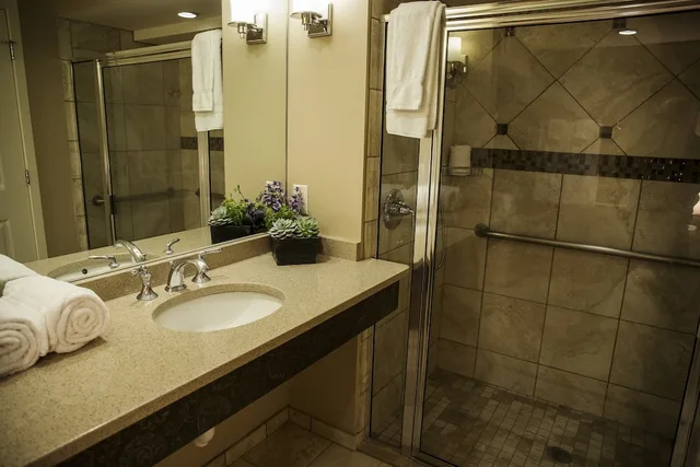 Lakewood, Standard, King Bed, Lake Lawn Resort 4/4