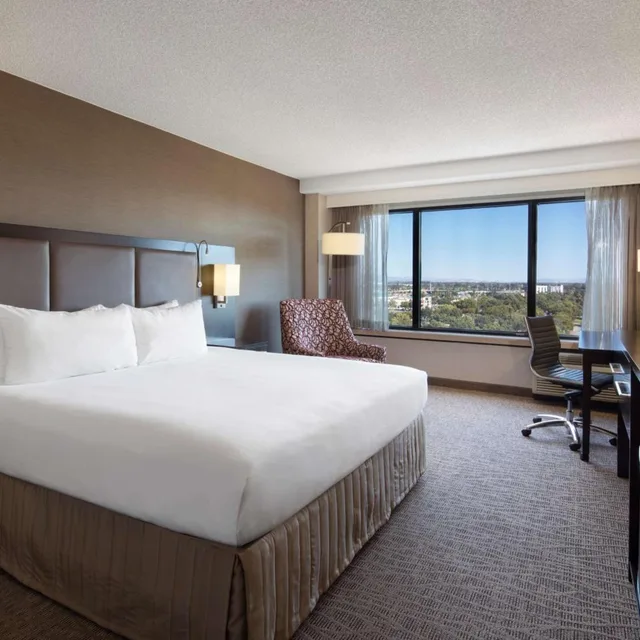 Suite, Sonesta San Jose 1/5