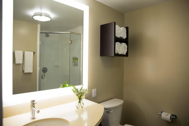 جناح بسرير كينج بغرفة نوم واحدة لذوي الإعاقة، Staybridge Suites Seattle - South Lake Union 2/4