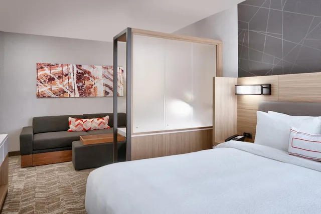 Studio, Suite, King Bed, Sofa, Springhill Suites By Marriott Grand Island 2/10