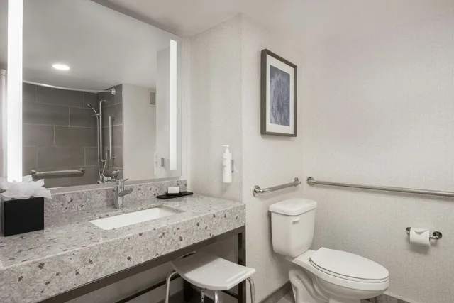 Suite, King Bed, Accessible, Embassy Suites by Hilton Minneapolis Airport 2/2