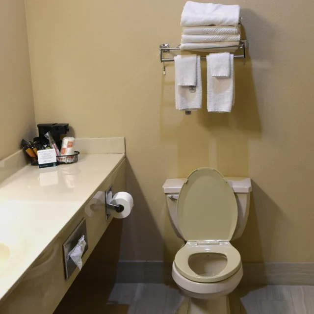 جناح بسرير كينج مع أريكة، Quality Inn & Suites Brooks Louisville South 2/5