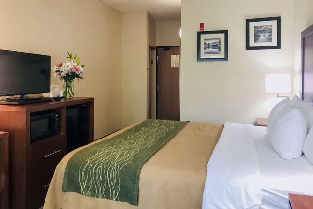 غرفة بسرير كينج، Comfort Inn South 3/5