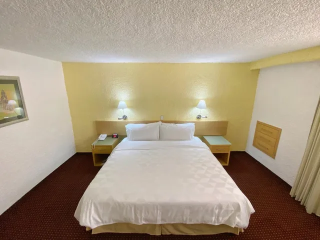 غرفة قياسية بسرير كينج، Holiday Inn Morelia 1/4