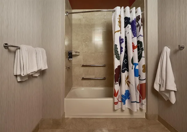 غرفة بسرير كينج لذوي الإعاقة، Hyatt Chicago Magnificent Mile Formerly Wyndham Chicago 7/8