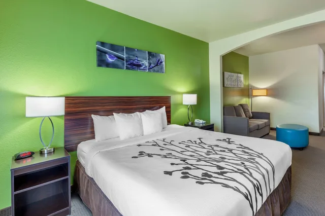 Standard, 2 King Beds, Sleep Inn & Suites Hewitt - South Waco 5/6