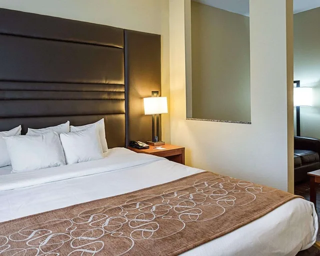 جناح بسرير كينج مع أريكة، Comfort Suites Near Tanger Outlet Mall 1/1