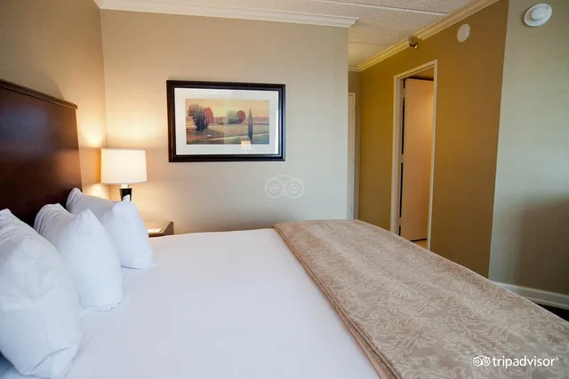 جناح، Hyatt Regency Houston West 1/2