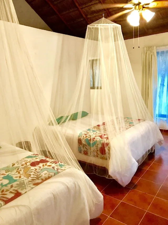 غرفة ديلوكس بسريرين مزدوجين، Collection O EcoVergel Hotel Boutique Spa in Tulum 1/2