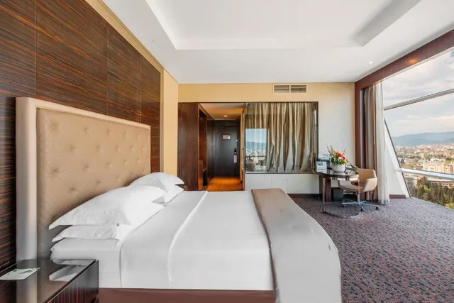 غرفة كلوب بريميوم مفردة بسرير كينج، The Biltmore Hotel Tbilisi 1/3
