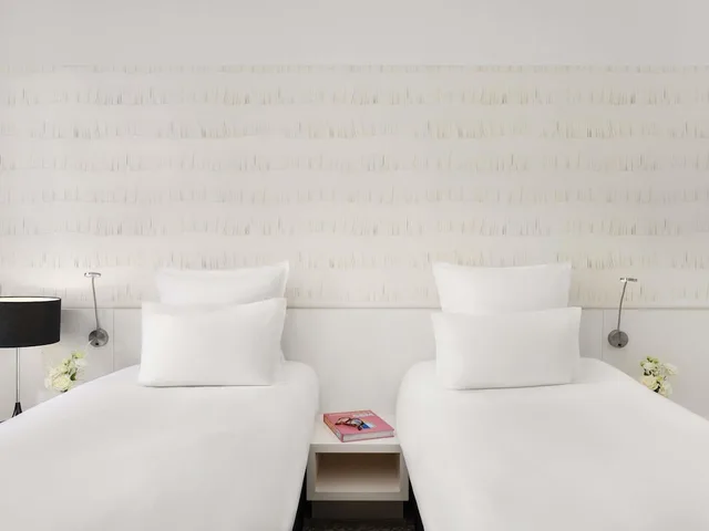 غرفة سوبيريور بسريرين منفصلين، Nemzeti Hotel Budapest - MGallery Collection 7/9