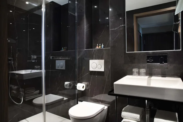 غرفة تنفيذية بسرير كينج، Hotel D Geneva 5/5