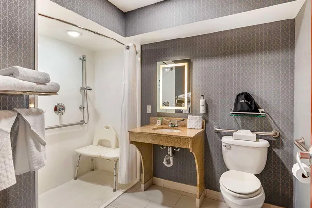 غرفة بسرير كينج لذوي الإعاقة، Best Western Premier Richmond City Gateway 4/4