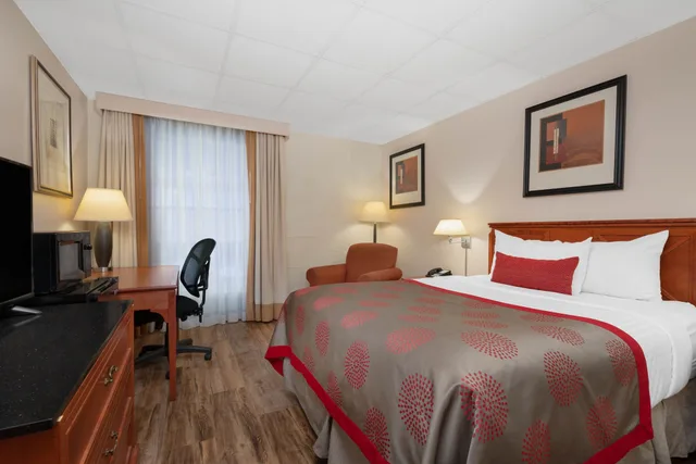 Room, Queen Bed, Accessible, Albert Lea Inn & Suites 1/7