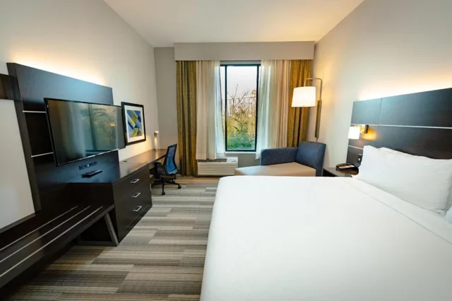 Xtra Space, Standard, King Bed، Holiday Inn Express & Suites Franklin - Berry Farms 1/3