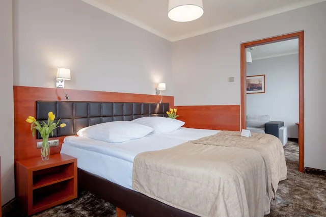 Spa Wellness Hotel Diament Ustron، Ustron 17/50