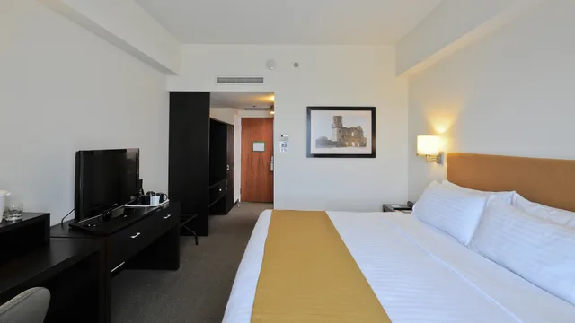 Standard, Single Bed, Holiday Inn Uruapan 3/10