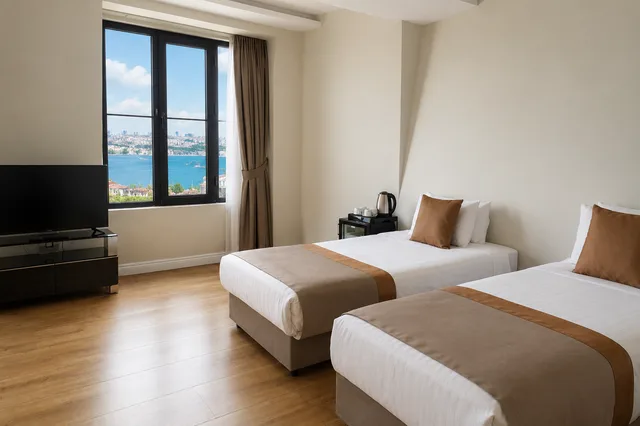 جناح ديلوكس بسريرين منفصلين، The Biancho Hotel Pera 1/1