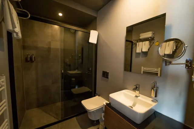 Deluxe, Apartment, Murphy Bed, Queen Bed, Mountain View, Sofa، The Kayseri Loft Hotel 3/3