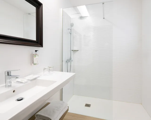 غرفة سوبيريور مفردة، Sercotel Hotel Parque 2/2