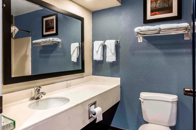 غرفة قياسية بسرير كينج، Quality Inn & Suites Exmore - Eastern Shore 4/4
