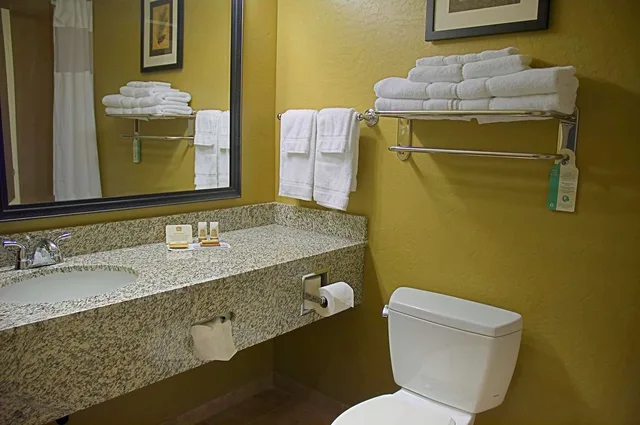 غرفة بسرير كينج لذوي الإعاقة، Best Western Plus Canyon Pines 4/4