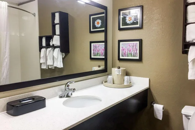 جناح تنفيذي بسرير كينج، Comfort Suites Regency Park 6/6