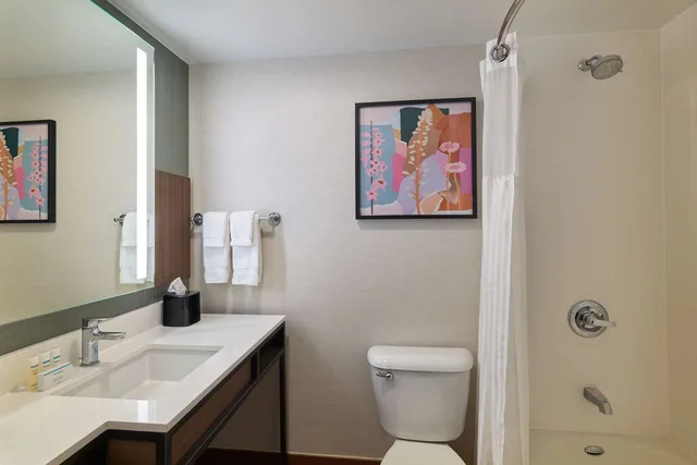 Premium, King Bed, Hilton Garden Inn Bloomington, IN 3/3